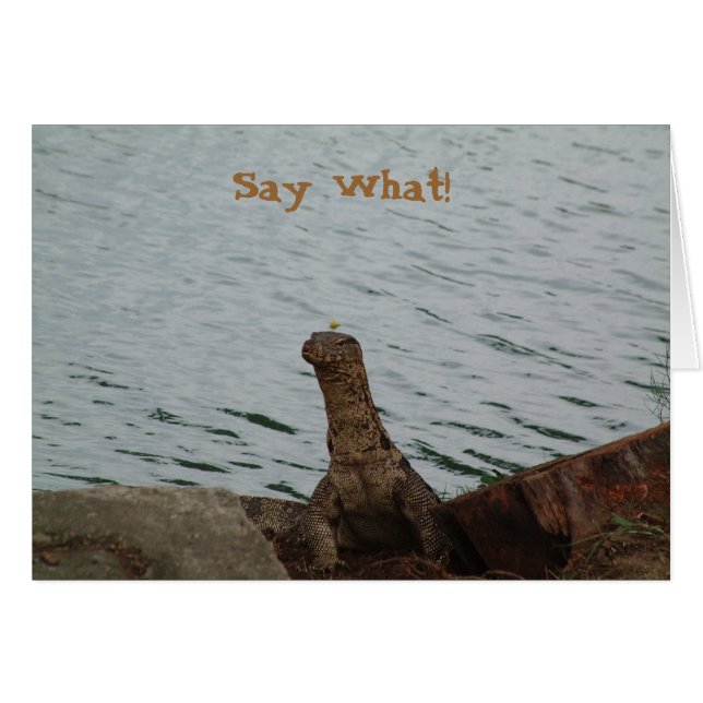 Något att säga vad! Vatten övervakar Hälsningskort (Framsidan Horizontal)