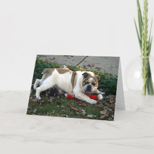 Något att sägaförskoning! kort