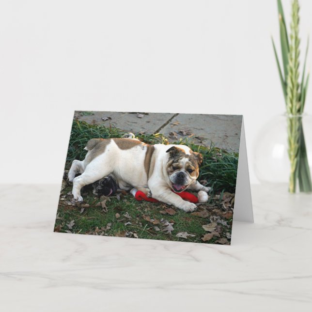 Något att sägaförskoning! kort (Framsida)