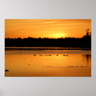 Något i Orangen - Ankor Poster