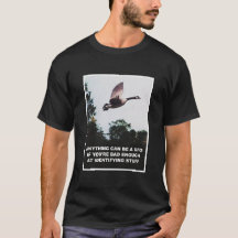 Något kan vara en UFO