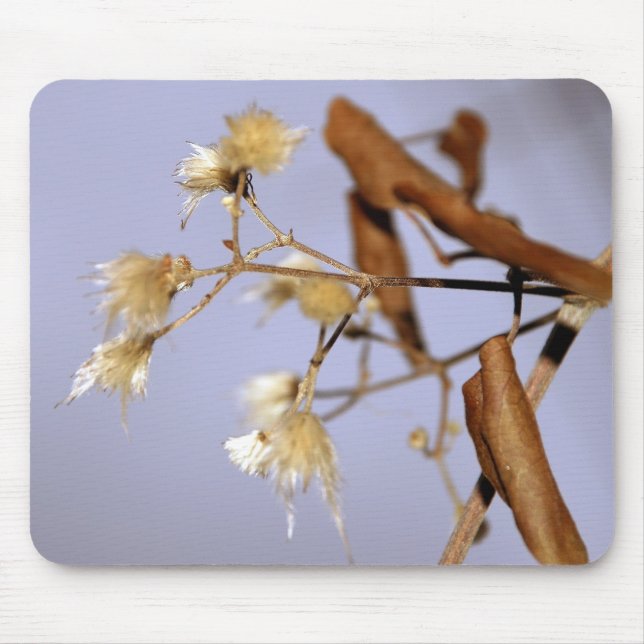 något musmatta (Framsidan)