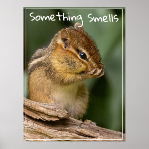 Något Smells Text Chipmunk Poster