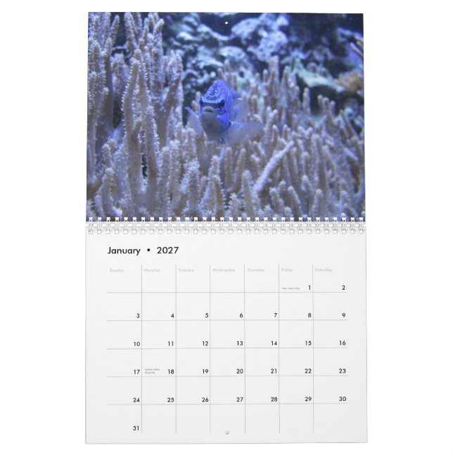 Något som är skum kalender (Jan 2027)