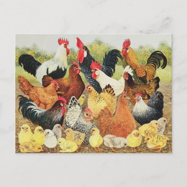 Något till Kråkan om Vykort (Framsida)