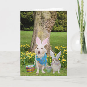 Några Bunnies Kärlek! Helgkort