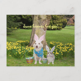 Några bunnies kärlek! vykort