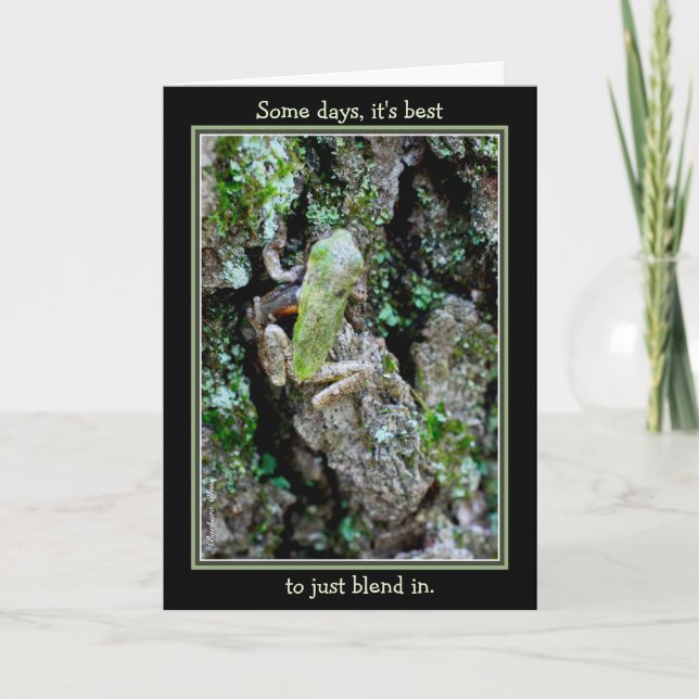 Några dagar är det bäst precis att blanda honom kort (Framsida)