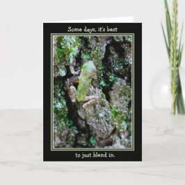 Några dagar är det bäst precis att blanda honom kort