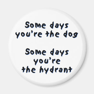 Några dagar är du hund magnet