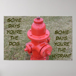Några dagar är du hunden, några dagar hydranten poster