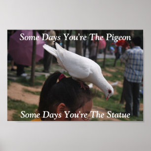Några dagar är du Pigeon...Statue Poster