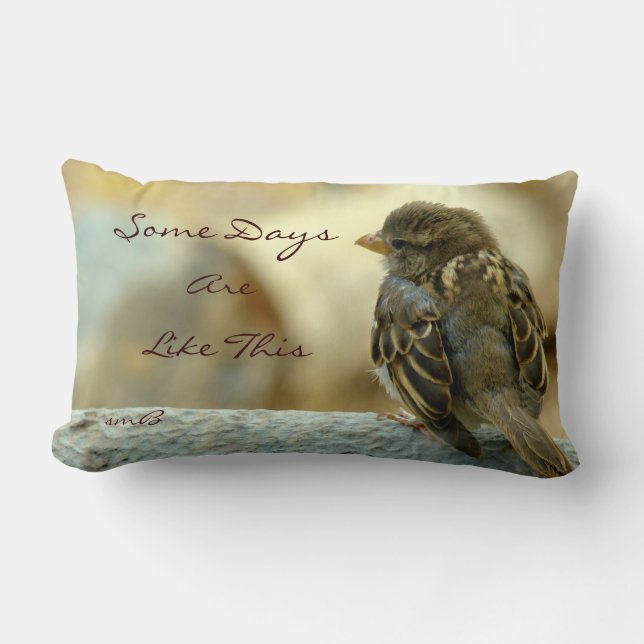 Några dagar är lika detta, formgivare kudder lumbarkudde (Framsida)