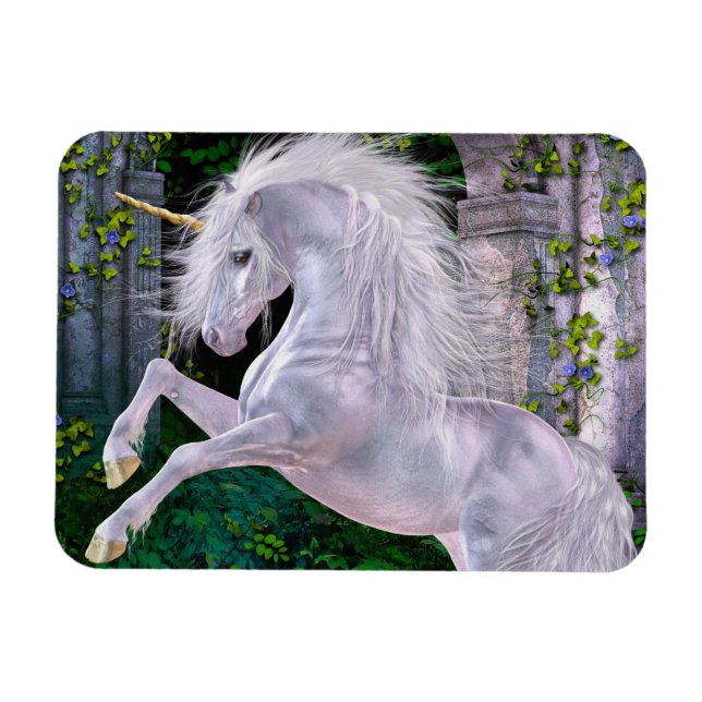 Några fantastiska flexi Magnet (Horisontell)