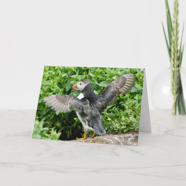 Några orsakar Puffinhälsningkortet Kort (Framsida)
