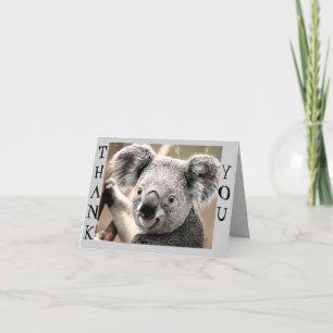 Några tillfällen, Koala Bear_ Tack Kort