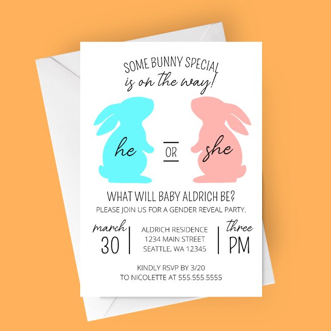 Några tyska Speciella Genderna Reveal Party Inbjudningar (Bunny on the Way Modern Gender Reveal Party Invitation with Blue and Pink Bunnies)