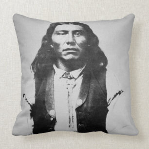Naiche (d.1874) chef av de Chiricahua apachesna av Kudde