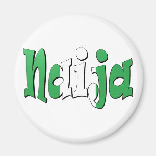 Naija (nigeriansk flagga) magnet
