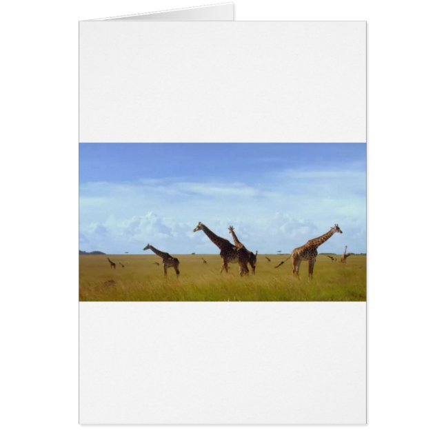 Nairobi National Park Giraffes Hälsningskort (Framsidan)