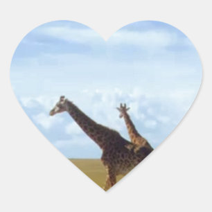 Nairobi National Park Giraffes Hjärtformat Klistermärke