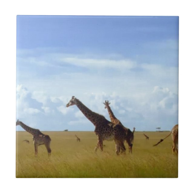 Nairobi National Park Giraffes Kakelplatta (Framsidan)