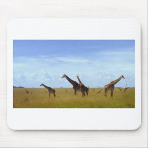 Nairobi National Park Giraffes Musmatta