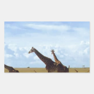 Nairobi National Park Giraffes Rektangulärt Klistermärke