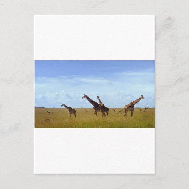 Nairobi National Park Giraffes Vykort (Framsida)