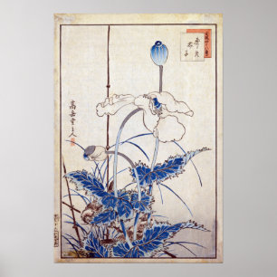 Nakayama Sugakudo Bird over Poppies Poster