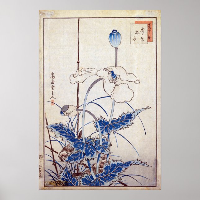 Nakayama Sugakudo Bird over Poppies Poster (Framsidan)