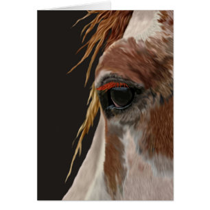 Nakota Horse OBS Kort