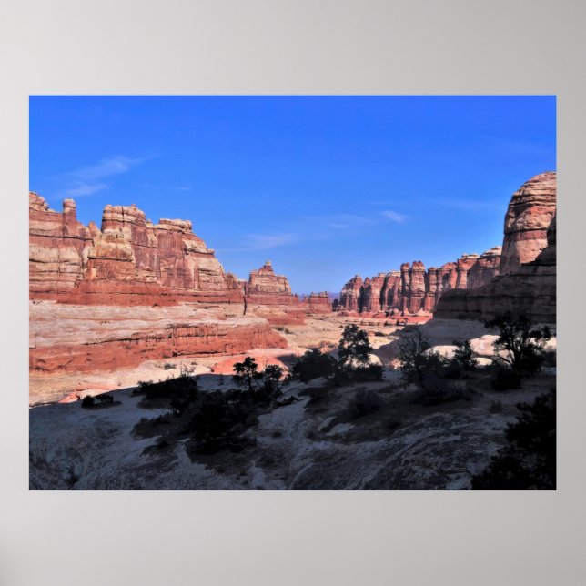 Nål: Canyonlands nationalpark Poster (Framsidan)