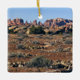 Nålar från Pothole Point Trail vid Canyonlands Julgransprydnad Keramik