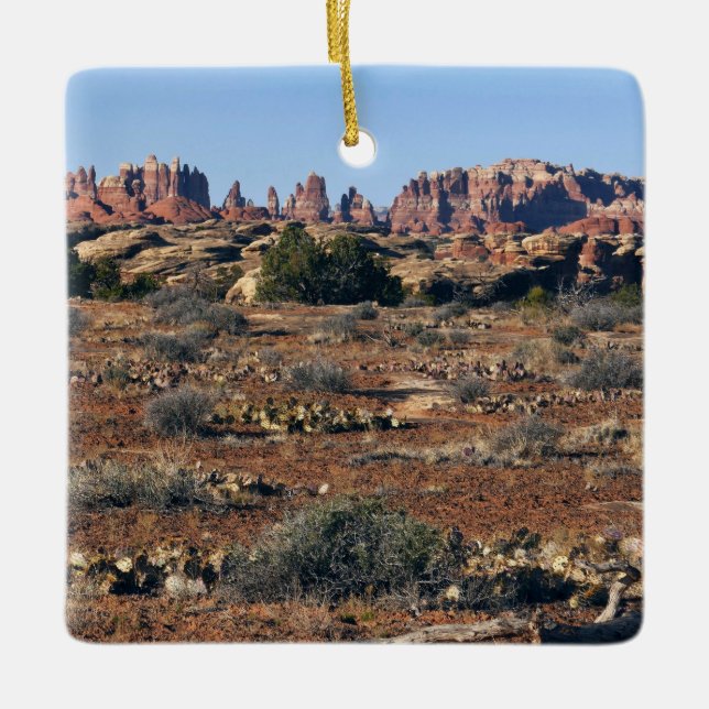 Nålar från Pothole Point Trail vid Canyonlands Julgransprydnad Keramik (Framsida)