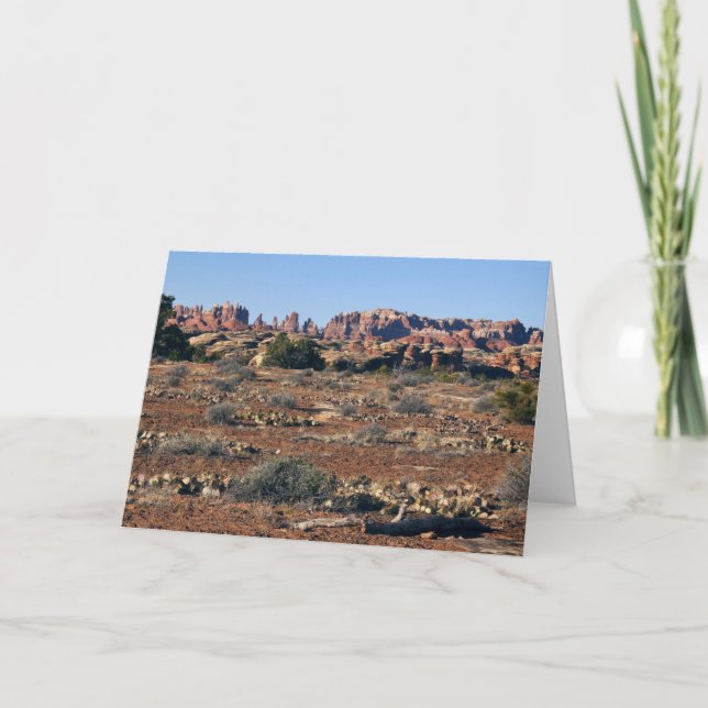 Nålar från Pothole Point Trail vid Canyonlands Kort (Framsida)