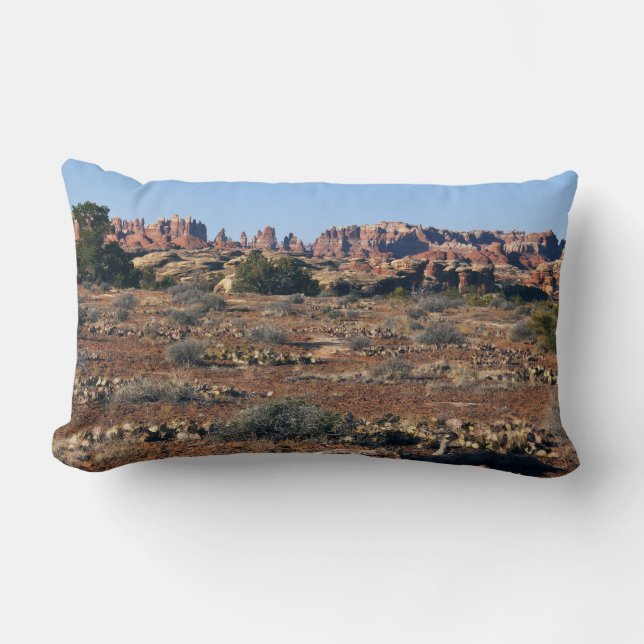 Nålar från Pothole Point Trail vid Canyonlands Lumbarkudde (Framsida)