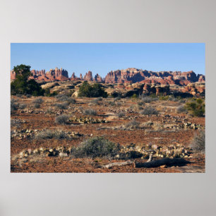 Nålar från Pothole Point Trail vid Canyonlands Poster