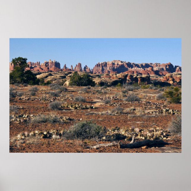 Nålar från Pothole Point Trail vid Canyonlands Poster (Framsidan)