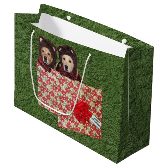 Nallar med Golden Retriever i julklapp (Framsidan Vinklad)