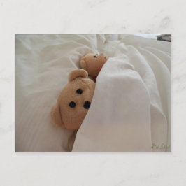 Nallar som sover i ett foto för sent kort
