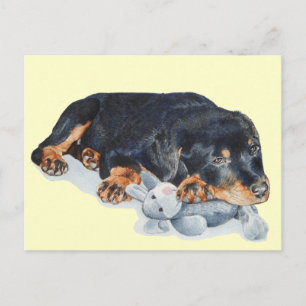 nalle av söt rosenvalg hund cuddling vykort