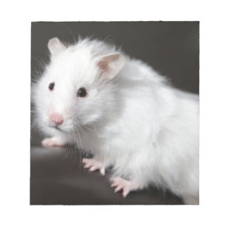 Nalle Hamster Anteckningsblock