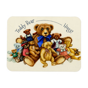NALLE HUGS MAGNET *Anpassa