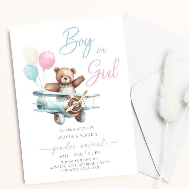 Nalle i Flygplan Gender Reveal Inbjudningar (Skapare uppladdad)