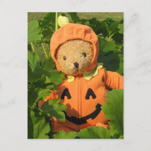 Nalle i Pumpkin Patch Vykort
