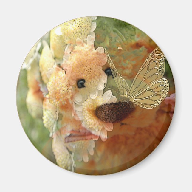 Nalle Magnet (Framsidan)