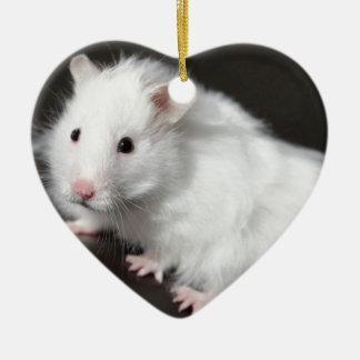 NalleHamster Julgransprydnad Keramik