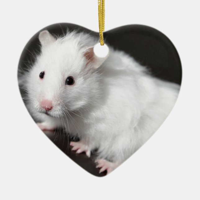 NalleHamster Julgransprydnad Keramik (Framsidan)
