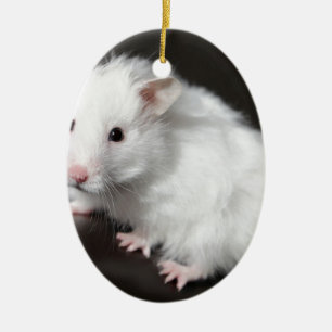 NalleHamster Julgransprydnad Keramik